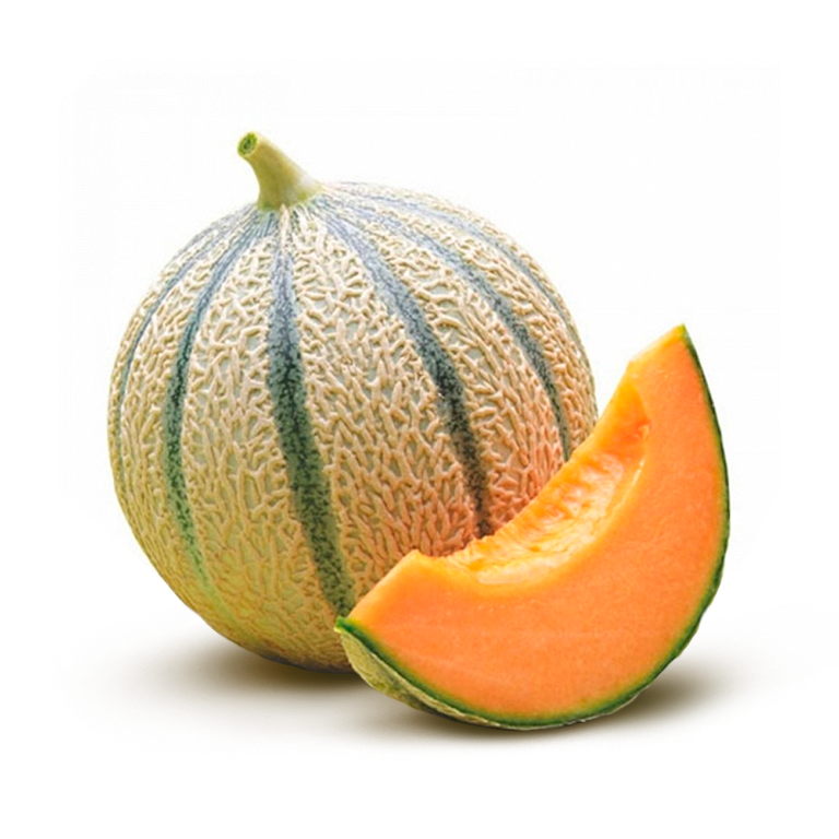 Mel&oacute; Cantaloup