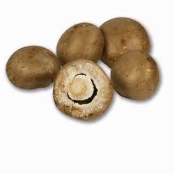 Bolet Xampiny&oacute; portobello granel