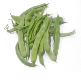 Mongeta tendra Helda